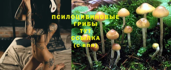 кокс Лагань