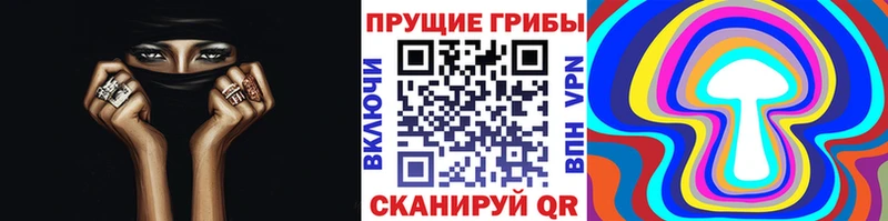 Псилоцибиновые грибы мицелий  Чебаркуль 