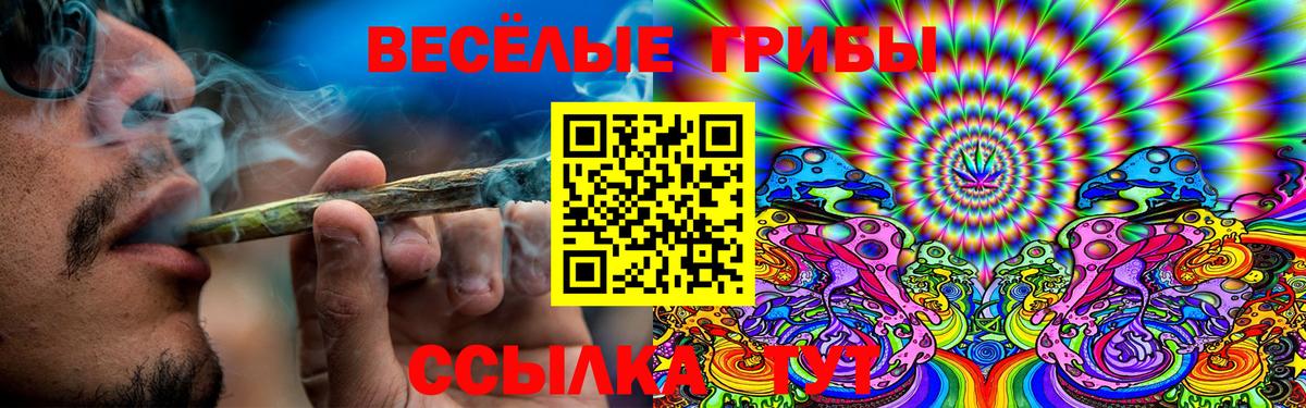 сколько стоит  Псилоцибиновые грибы мухоморы  Вход с VPN  Чебаркуль  Псилоцибиновые грибы Psilocybe 